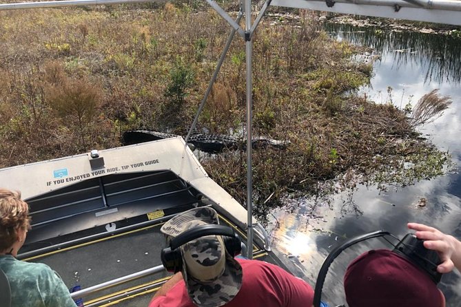 1 Hour Everglades Airboat Tour Orlando Florida - The 60-Minute Ride: A Fast Taste of Alligator Country