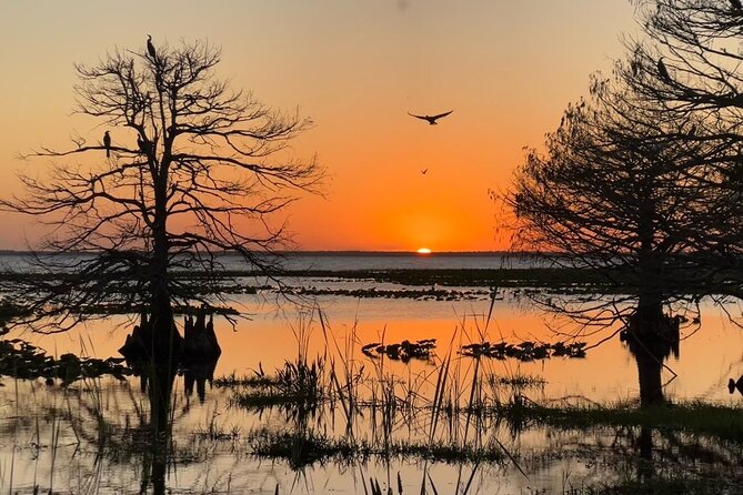 1-Hour Sunset Airboat Ride near Orlando - Comfort on the Water: Dress Warm, Expect Cool Air, and Plan for Photos