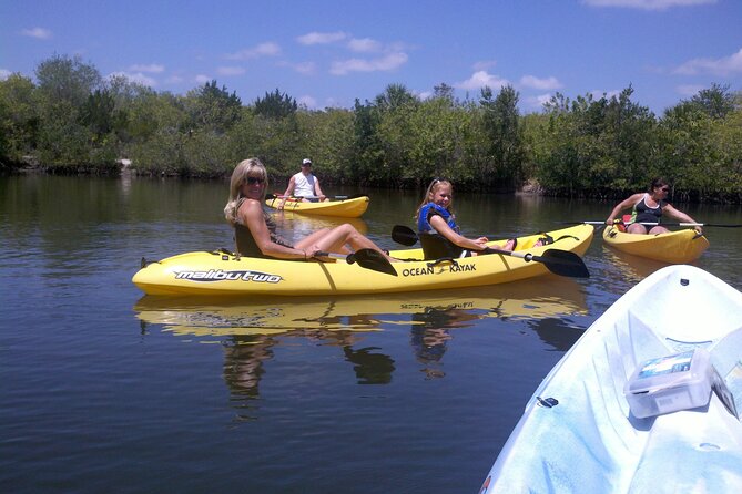 1-Hour Tandem Kayak Rental with Manatee & Dolphin sightings - Key things to know before you rent