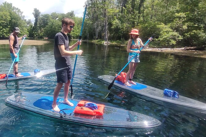 2-Hour Clear Kayak and Paddleboard(SUP) Rental in Orlando - Kids, dogs, and who should choose the self-guided option