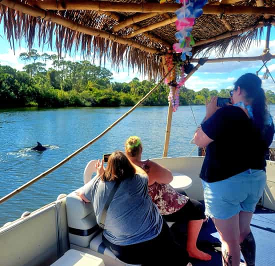 2 Hour Tiki Dolphin Sightseeing Tour in Cocoa Beach - Dolphins Close-Up on the Indian River Lagoon