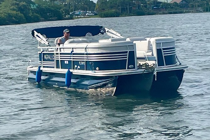 2 Hr Dolphin Melbourne, Merritt Island ,Cocoa Beach.1030 am - Key highlights before you go