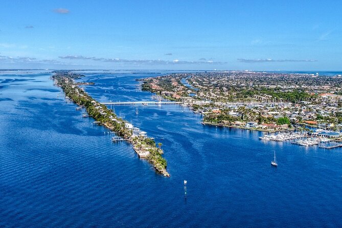 2 Hr Dolphin Melbourne, Merritt Island ,Cocoa Beach.1030 am - Wildlife spotting along the Intracoastal: what you’re actually hunting