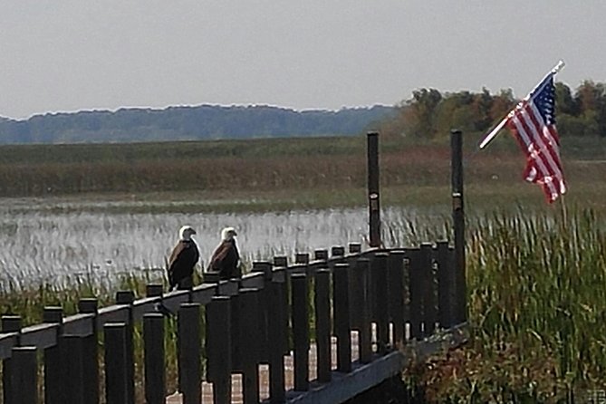 90 minute Everglades Airboat Tour near Orlando Florida - Airboats near Orlando: why this Everglades-style ride feels safer