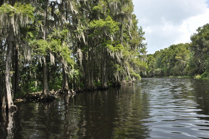 90 minute Everglades Airboat Tour near Orlando Florida - What happens during the 90-minute ride (and what to look for)