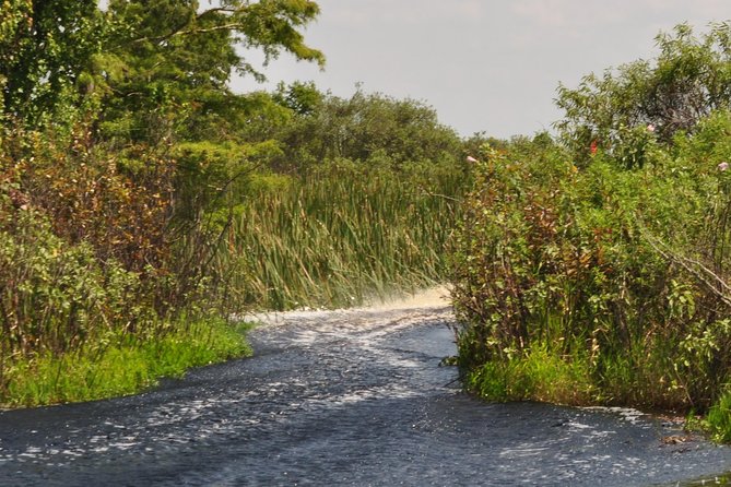 90 minute Everglades Airboat Tour near Orlando Florida - Price and value: is $89 for 90 minutes a fair deal?