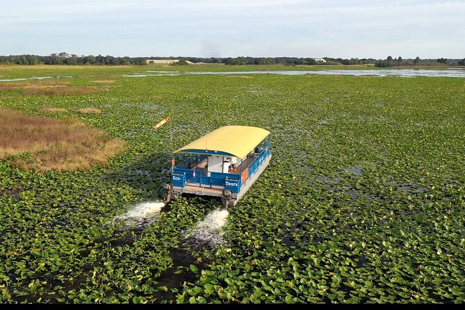 90 Minute Florida Everglades Boat Eco Tour - Quick hits you will care about