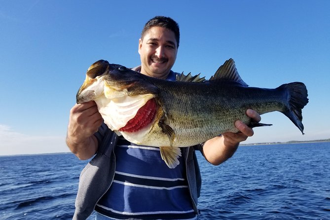 All Day Lake Toho Fishing Trip near Kissimmee - Price and value: what $813.99 per group really means