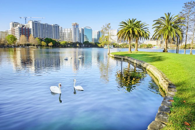 Arrival Transfer: Orlando Airport MCO to Orlando by Luxury SUV - The Luxury SUV ride: comfort for up to 5, but still private