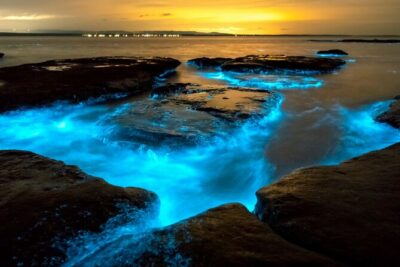 Bioluminescence Clear Kayak or Paddleboard Tour Near Orlando - The 2-hour flow: sunset paddle, horseshoe crab island, then glow time