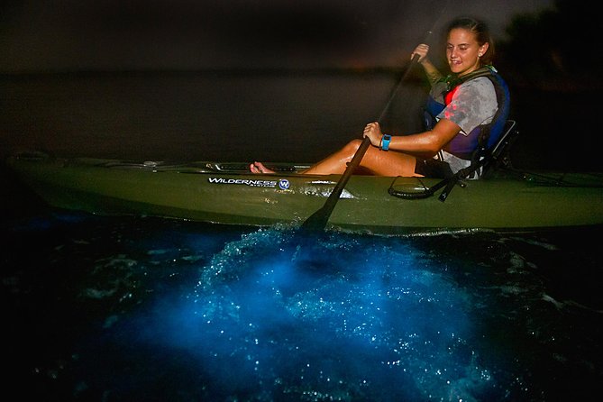 Bioluminescence Kayak Tour - Key Points Before You Paddle