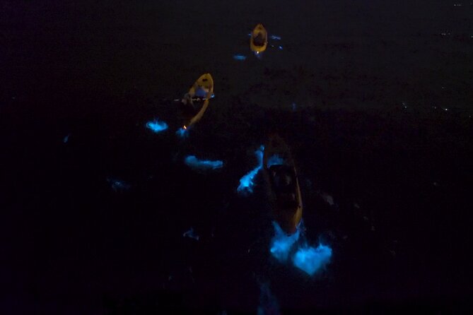 Bioluminescence Kayak Tour - Guide First: Why Names Like Aidan, Caleb, and Zoey Show Up