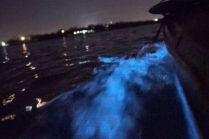Bioluminescence Kayak Tour - How Long Is It and What’s the Pace Like?