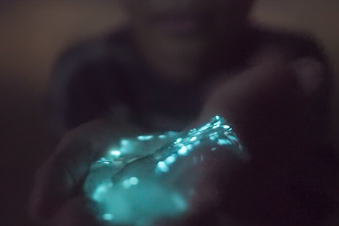 Bioluminescence Kayak Tour - Value and Included Gear: What You’re Paying For