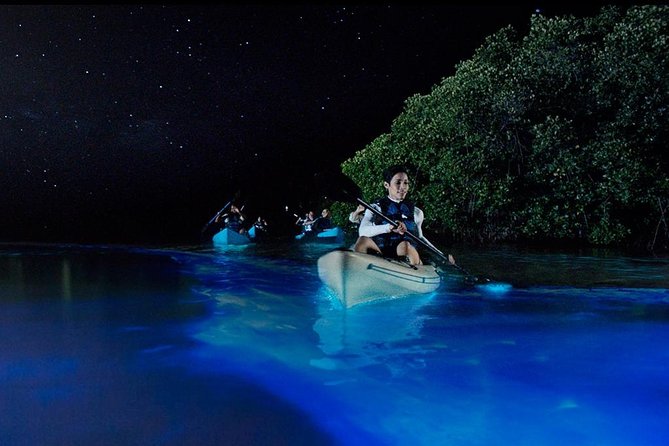 Bioluminescence Night Kayaking Tour of Merritt Island Wildlife Refuge - Bioluminescence on the Banana River: the real wow factor