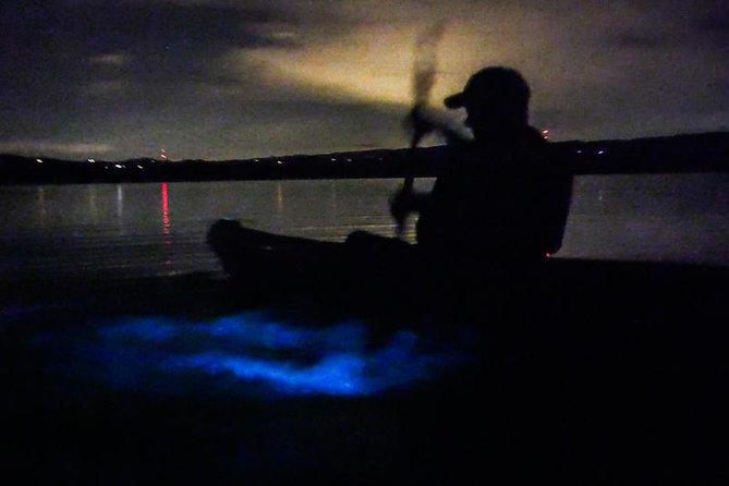 Bioluminescence Night Kayaking Tour of Merritt Island Wildlife Refuge - Protected wetlands and light pollution: why the location matters