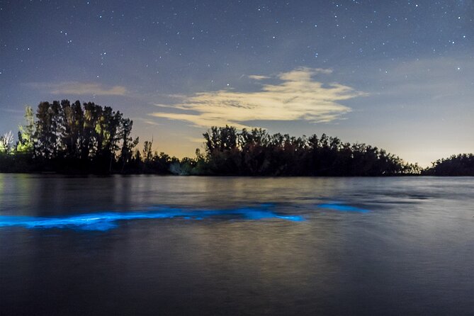 Bioluminescent Clear Kayak Tours in Titusville - Why bioluminescent clear kayaking feels like a bucket-list thing