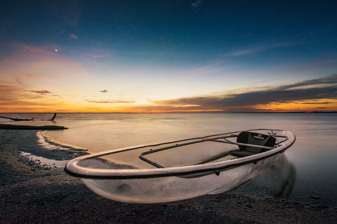 Bioluminescent Clear Kayak Tours in Titusville - Price and logistics: value for 90 minutes of rarity