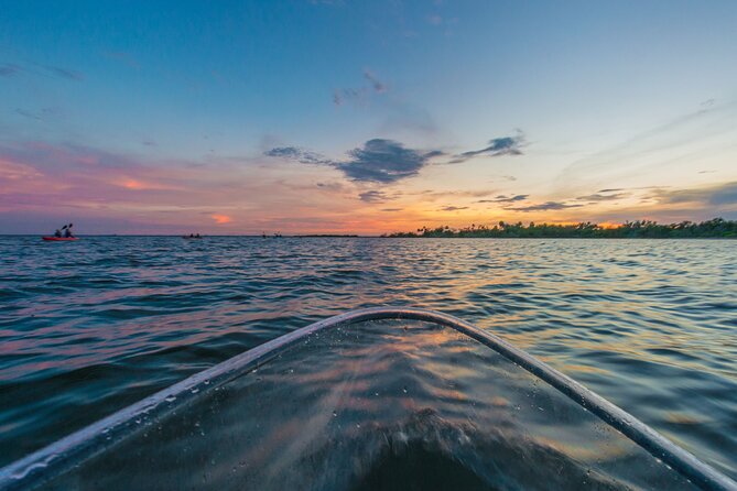 Bioluminescent Clear Kayak Tours in Titusville - Practical tips: what to bring and what to expect