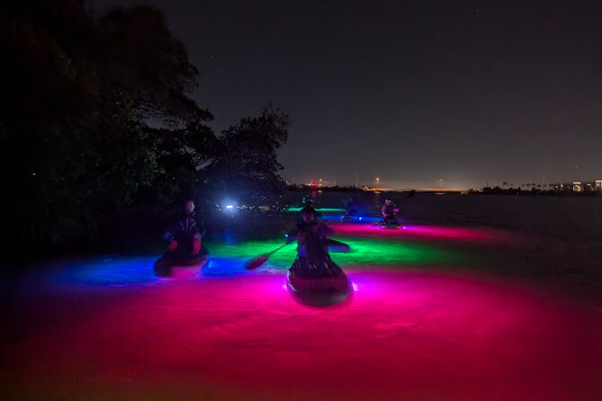 Bioluminescent Comb Jelly & LED Kayak / Paddle board Excursion - The Indian River Lagoon at night: what you’re really paying for