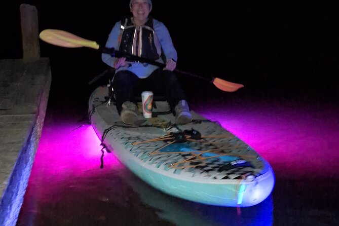 Bioluminescent Comb Jelly & LED Kayak / Paddle board Excursion - Wildlife you might see (and why it’s worth slowing down)
