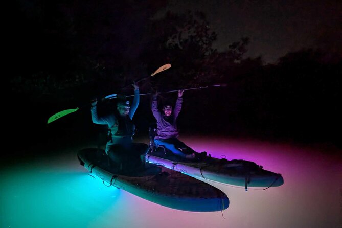 Bioluminescent Comb Jelly & LED Kayak / Paddle board Excursion - The included photos and jellyfish portrait: why you’ll want them