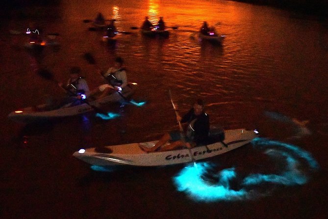 Bioluminescent Kayak Tour by THE #1 Rated Company in Cocoa Beach - Single vs Tandem Kayaks: The Rules You’ll Want to Know