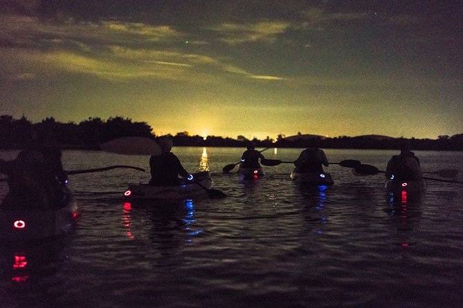 Bioluminescent Kayak Tour by THE #1 Rated Company in Cocoa Beach - Cocoa Beach to Merritt Island and the Manatee Refuge: Your Night Route