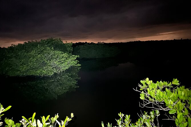 Bioluminescent Kayak Tour in Floridas Indian River Lagoon - The certified naturalist touch: learning from small things to big ideas