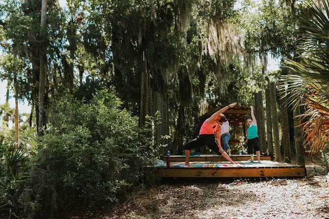 Central Florida Guided Nature Walk and Private Yoga Class - Wildlife odds: Florida scrub jay and gopher tortoise chances