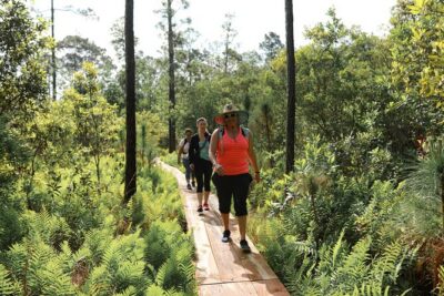 Central Florida Guided Nature Walk and Private Yoga Class - Fox Lake Park: your start point for real Florida, not just scenery