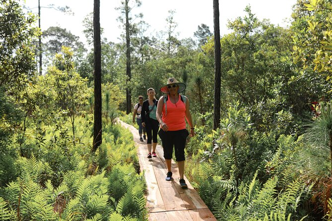 Central Florida Guided Nature Walk and Private Yoga Class - Fox Lake Park: your start point for real Florida, not just scenery