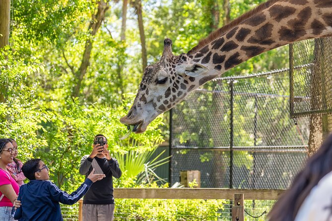 Central Florida Zoo and Botanical Gardens Ticket - Zoo Time: Animals From Around the World on Shaded Paths