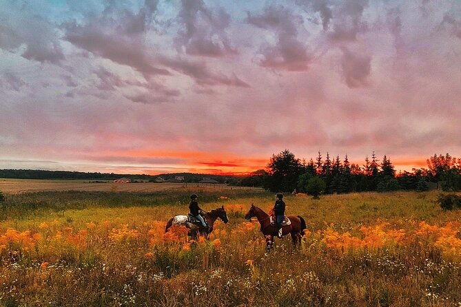 Champagne and Charcuterie Sunset Trail Ride - Lake Louisa at Sunset: the feel of a 2-hour trail ride