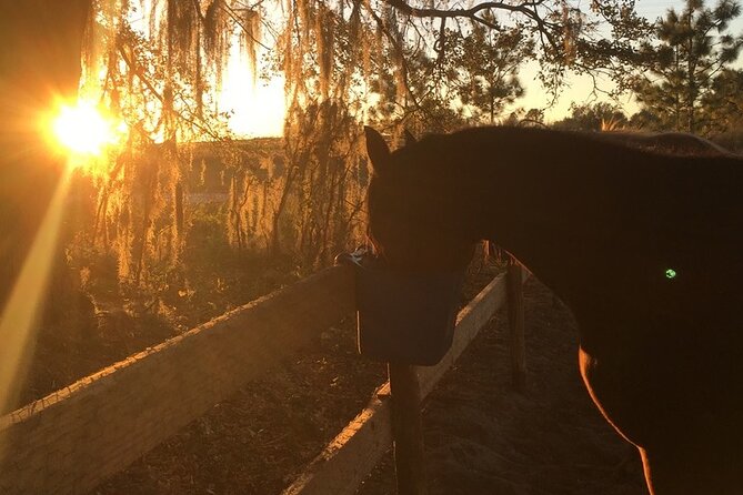 Champagne and Charcuterie Sunset Trail Ride - The champagne-and-charcuterie theme: what you should plan for