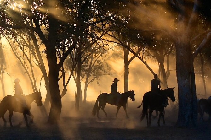 Champagne and Charcuterie Sunset Trail Ride - Price and logistics: $99 plus the park admission fee