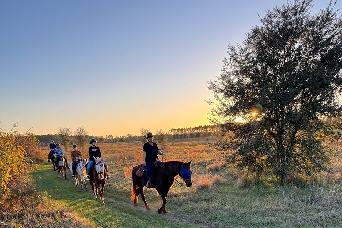 Champagne and Charcuterie Sunset Trail Ride - What you should expect on the trail: terrain, pacing, and comfort