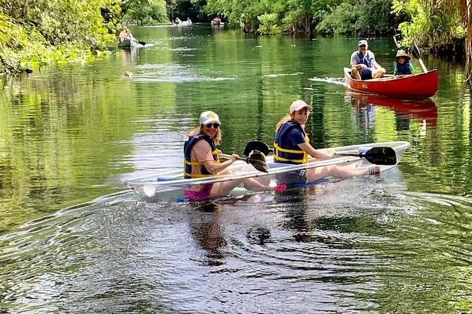 Clear Canoeing and Wildlife Sightseeing at Silver Springs - Wildlife checklist: manatees, gators, turtles, birds, and monkey chances