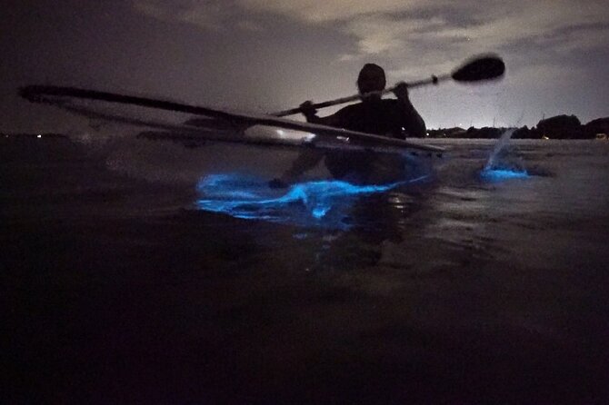 Clear Kayak Bioluminescence Tour - Key things to know before you go
