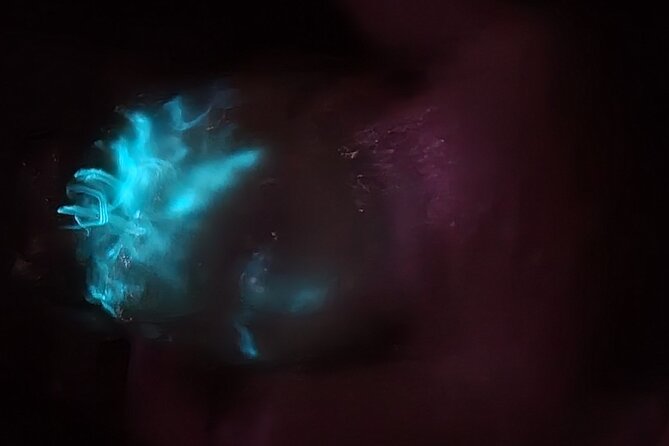 Clear Kayak Bioluminescence Tour - Cocoa Beach - Price and Value: Is $85 for 1.5 Hours a Good Deal?