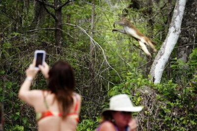Clear Kayak or Paddleboard Manatee Adventure - Clear kayaking and paddleboards: the view you’re really paying for