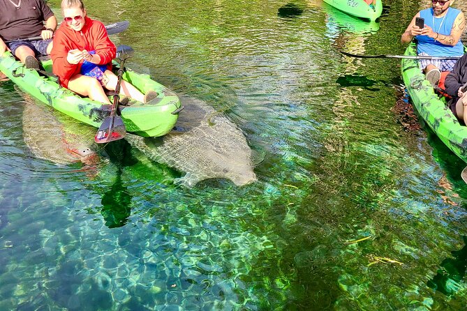 Clear Kayak or Paddleboard Manatee Adventure - What to pack (and what to expect in your body)