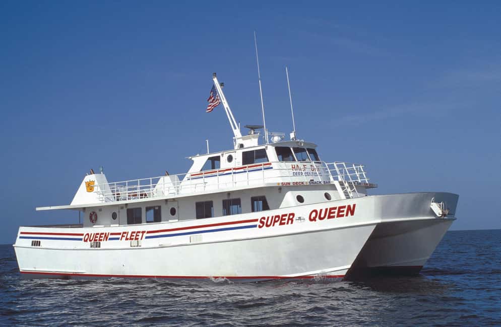 Clearwater Beach and Dolphin Cruise Day Trip from Orlando - How This Orlando-to-Clearwater Day Trip Works