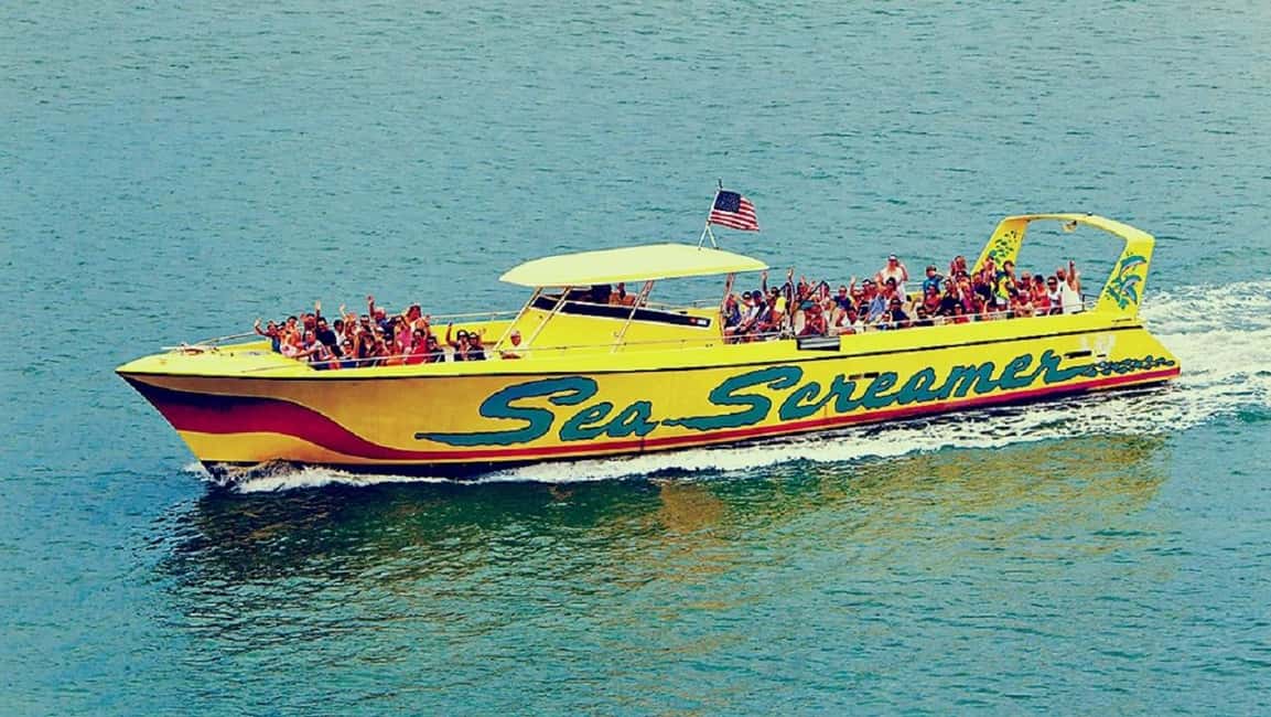 Clearwater Beach and Dolphin Cruise Day Trip from Orlando - The Morning Ride to the Gulf: Settle In, Then Switch Modes