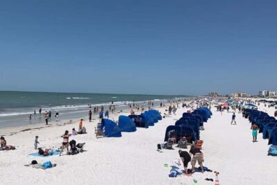 Clearwater Beach and Dolphin Cruise Day Trip from Orlando - Pickup Points and Timing: Less “Where Do I Go?” Stress