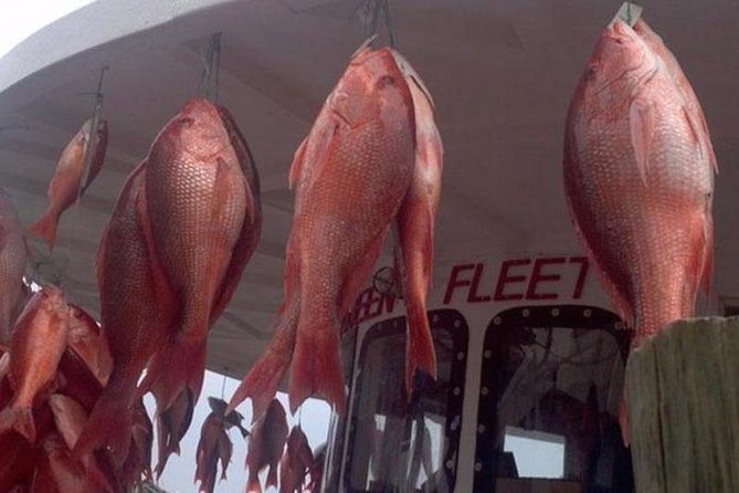 Clearwater Beach Day Trip from Orlando with Upgrade Options - Deep sea fishing: best for people who want hands-on action