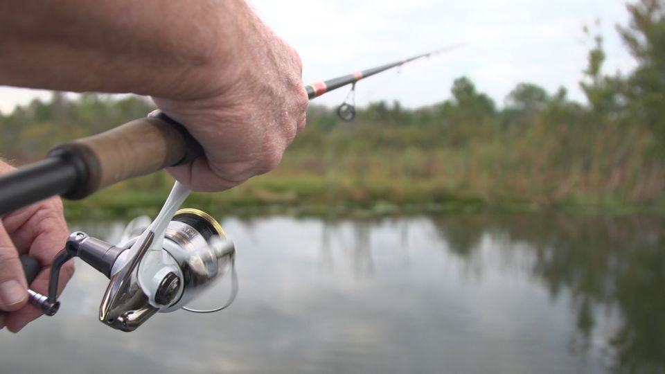 Clermont: Trophy Bass Fishing Experience with Expert Guide - Guidance Levels: How the Captain Helps You