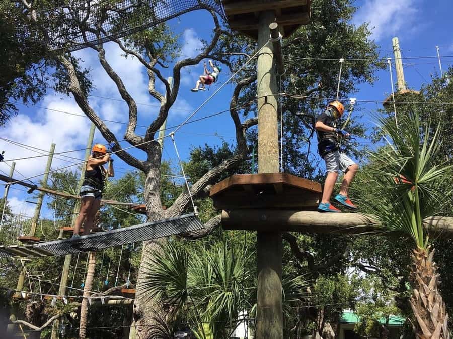 Cocoa Beach: Aerial Adventure Park Ticket - Red course at 45 feet: the hardest line and the best payoff