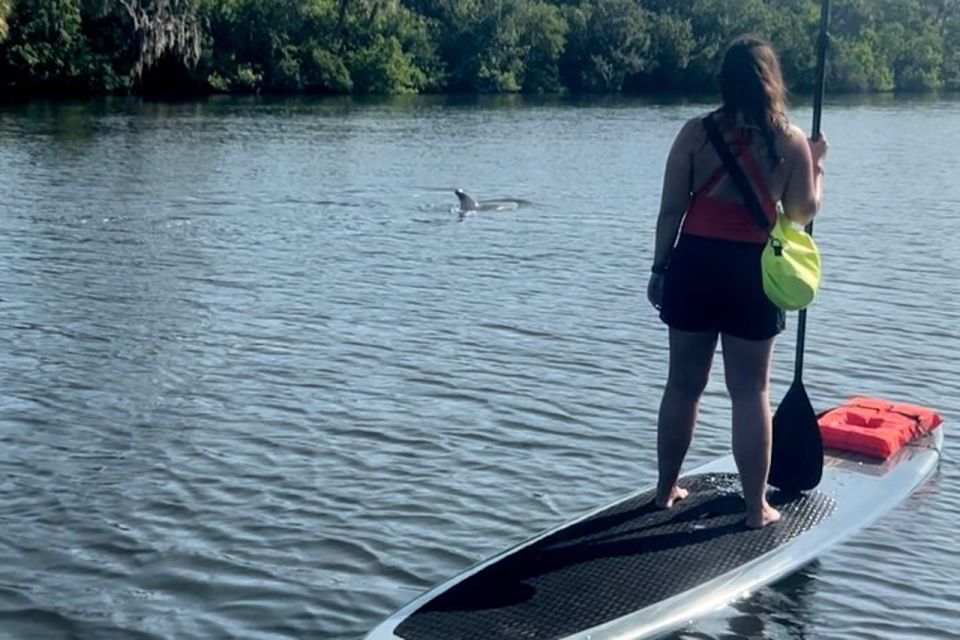 Cocoa Beach: Dolphin and Manatee Kayak or Paddle Tour - Cocoa Beach from the water: why this paddle tour feels different