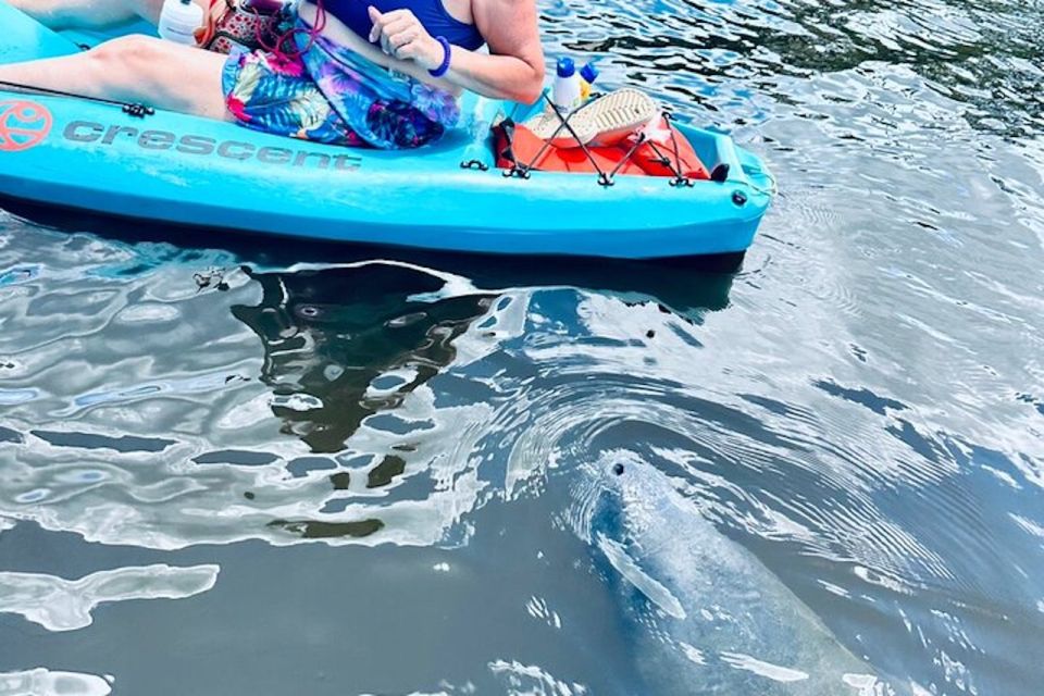 Cocoa Beach: Dolphin and Manatee Kayak or Paddle Tour - Thousand Islands Conservation Area: why that 30 minutes counts